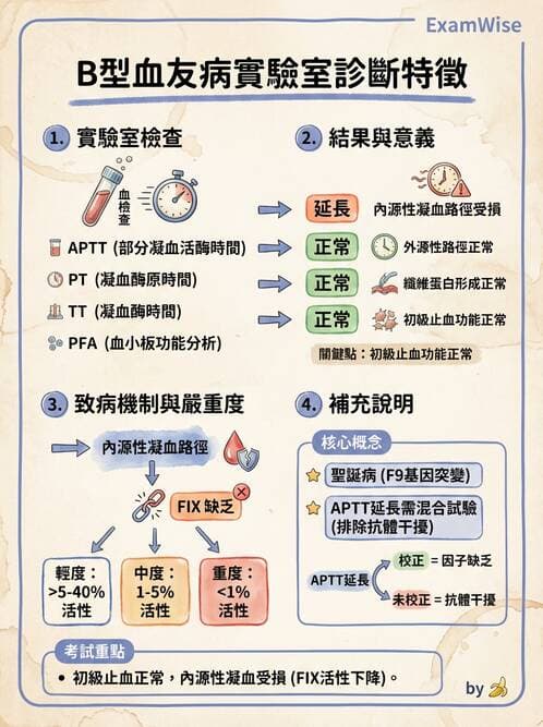 醫檢師 - 出血性疾病與檢驗 - AI 圖文解析預覽