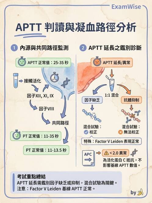 醫檢師 - 血栓性疾病與抗凝治療監測 - AI 圖文解析預覽
