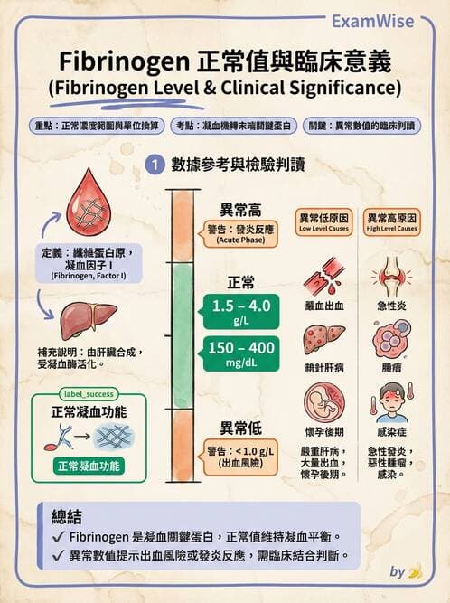 醫檢師 - 凝血因子與凝血檢驗 - AI 圖文解析預覽