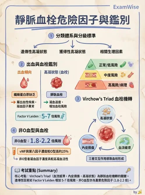 醫檢師 - 血栓性疾病與抗凝治療監測 - AI 圖文解析預覽