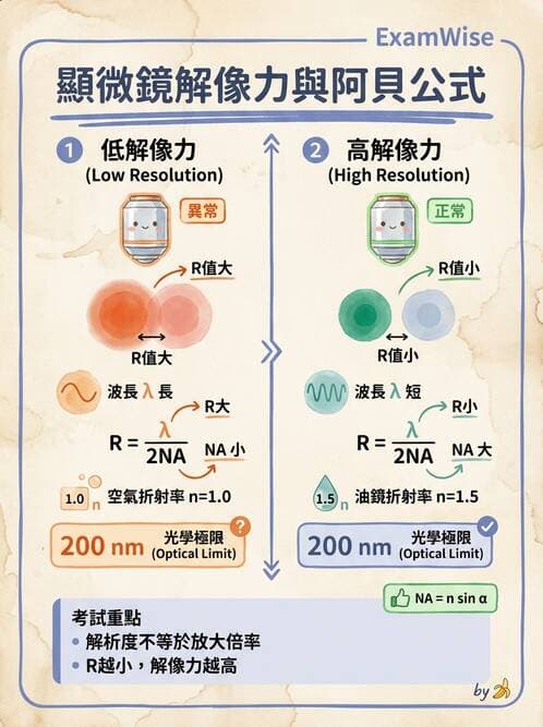 醫檢師 - 顯微鏡原理與操作 - AI 圖文解析預覽