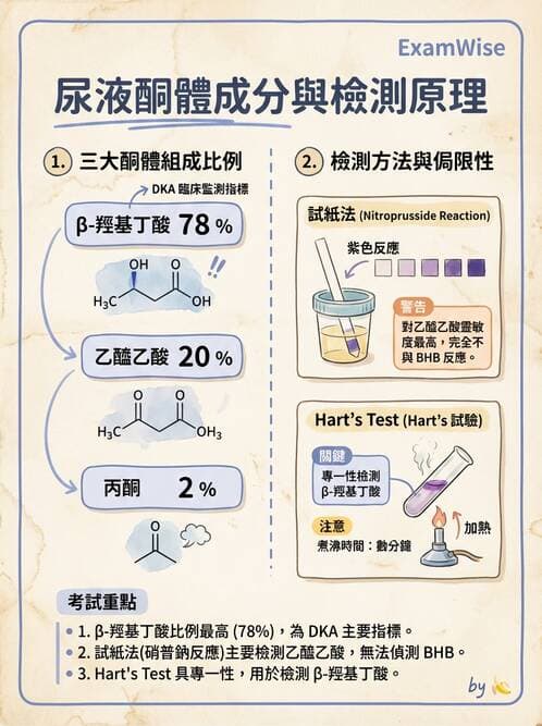 醫檢師 - 尿液化學檢驗 - AI 圖文解析預覽