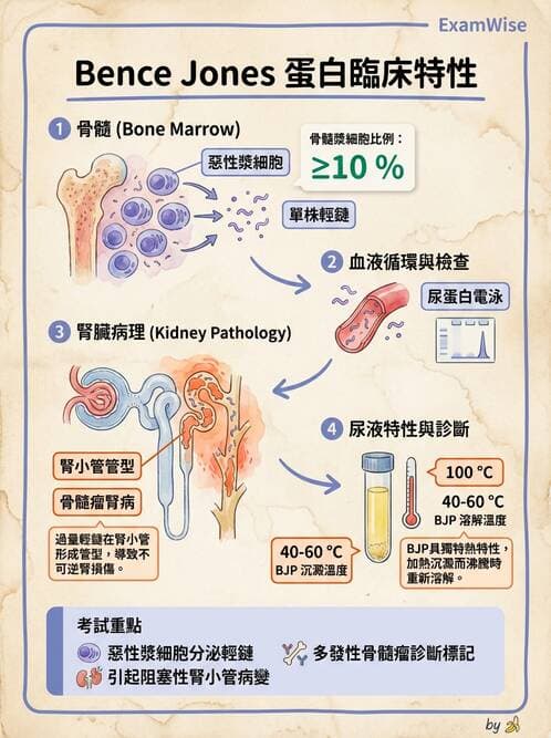 醫檢師 - 尿液化學檢驗 - AI 圖文解析預覽