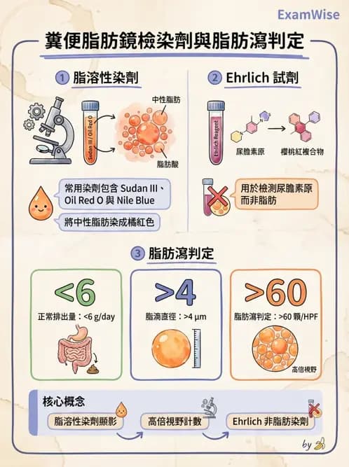 醫檢師 - 糞便常規檢查 - AI 圖文解析預覽
