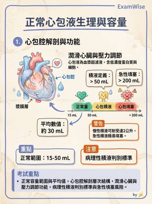 醫檢師 - 腦脊髓液檢查 - AI 圖文解析預覽