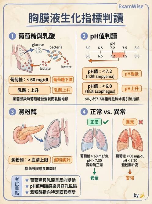 醫檢師 - 穿刺液檢查 - AI 圖文解析預覽