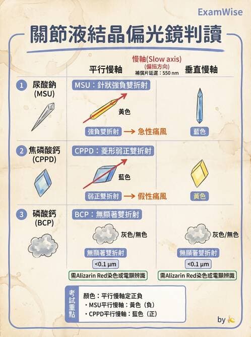 醫檢師 - 穿刺液檢查 - AI 圖文解析預覽