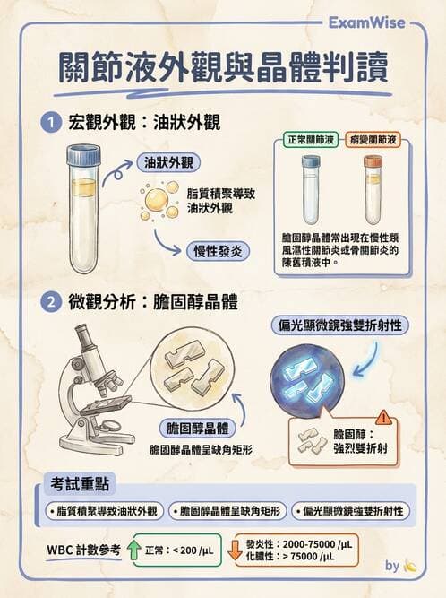 醫檢師 - 穿刺液檢查 - AI 圖文解析預覽