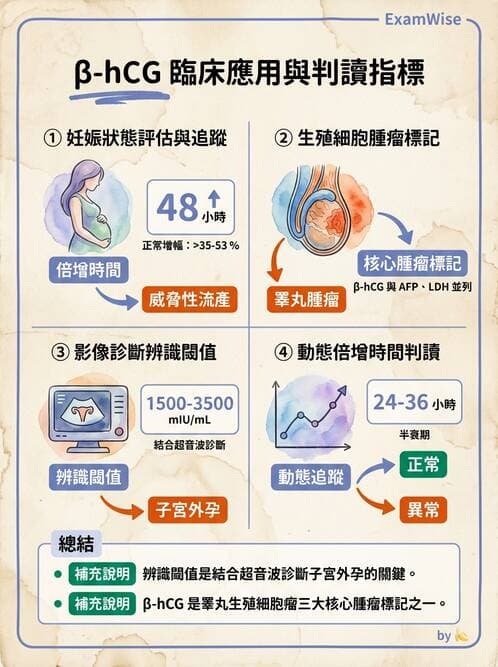醫檢師 - 懷孕試驗 - AI 圖文解析預覽