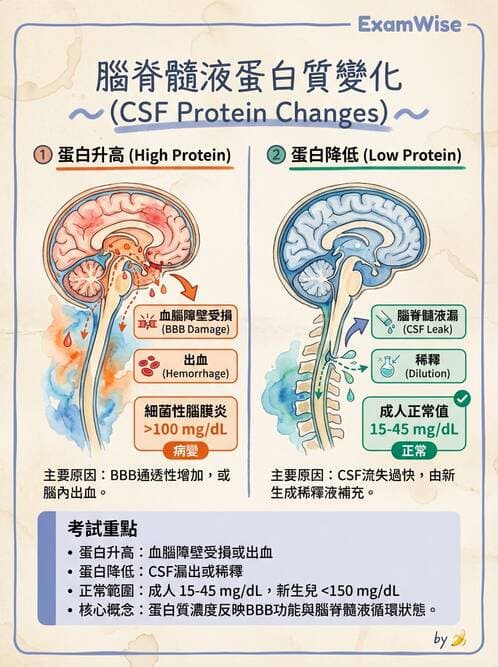 醫檢師 - 鏡檢綜合性試題 - AI 圖文解析預覽