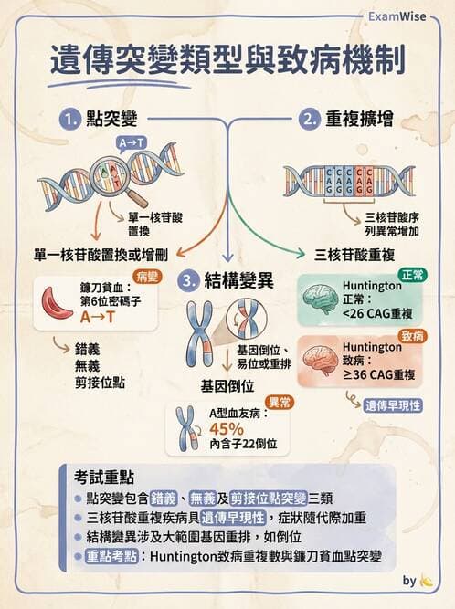 醫檢師 - 遺傳疾病基因檢測 - AI 圖文解析預覽