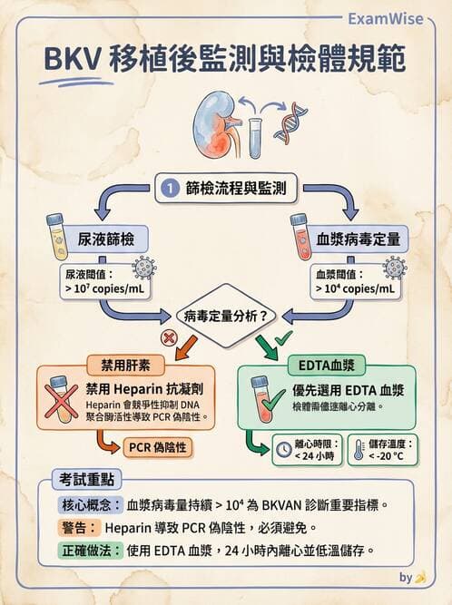 醫檢師 - 核酸擴增與萃取技術 - AI 圖文解析預覽