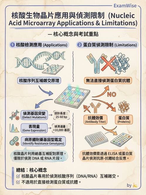 醫檢師 - 雜交探針與晶片技術 - AI 圖文解析預覽