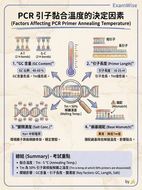 醫檢師 - 核酸擴增與萃取技術 - AI 圖文解析預覽