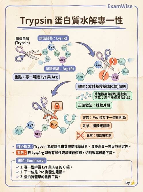 醫檢師 - 分子鑑定與應用技術 - AI 圖文解析預覽
