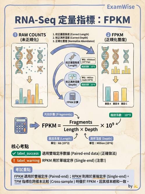 醫檢師 - 定序電泳與表觀分析 - AI 圖文解析預覽