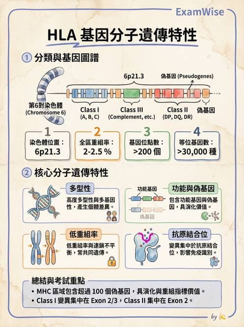醫檢師 - 分子鑑定與應用技術 - AI 圖文解析預覽