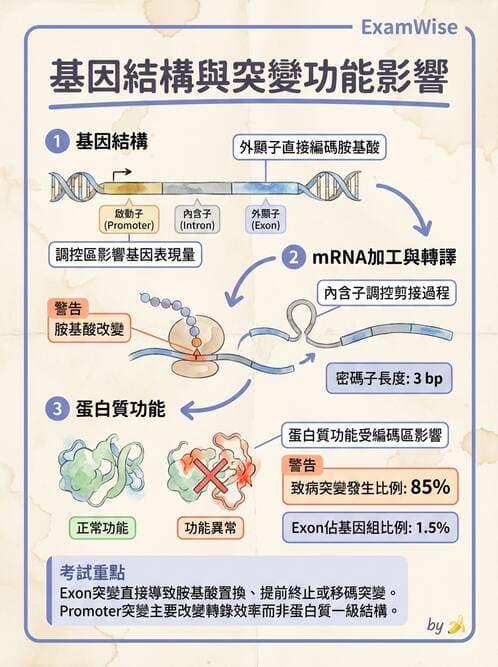 醫檢師 - 腫瘤疾病基因檢測 - AI 圖文解析預覽