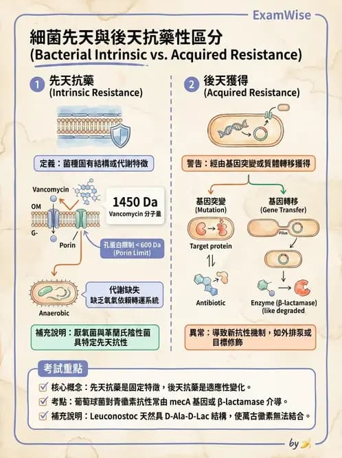 醫檢師 - 抗藥性機制 - AI 圖文解析預覽