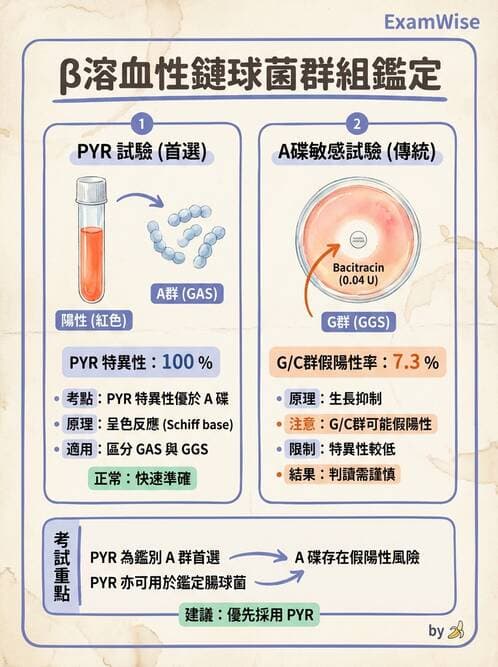 醫檢師 - 鏈球菌與其他革蘭氏陽性桿菌 - AI 圖文解析預覽