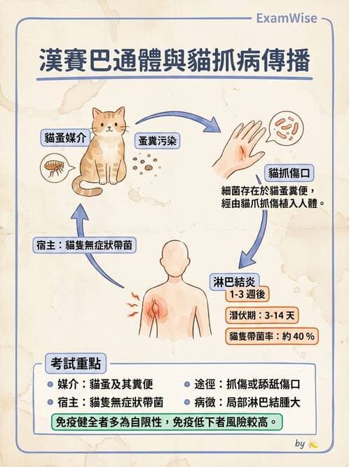 醫檢師 - 特殊病原體 - AI 圖文解析預覽