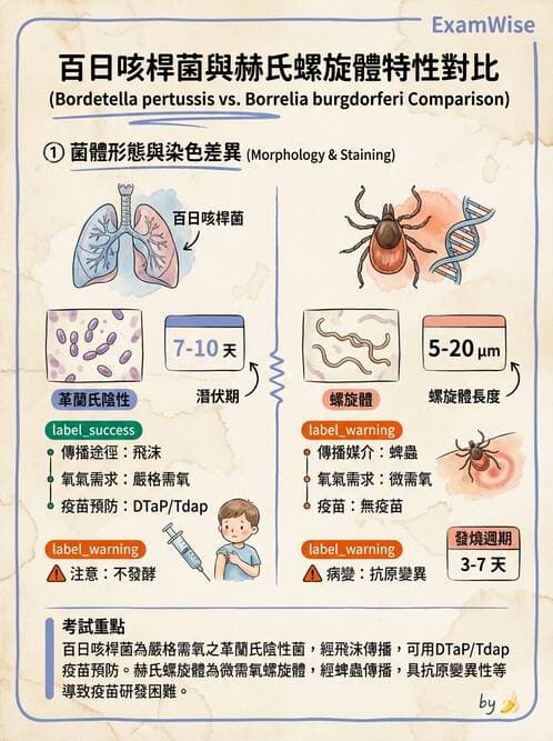 醫檢師 - 綜合性試題 - AI 圖文解析預覽