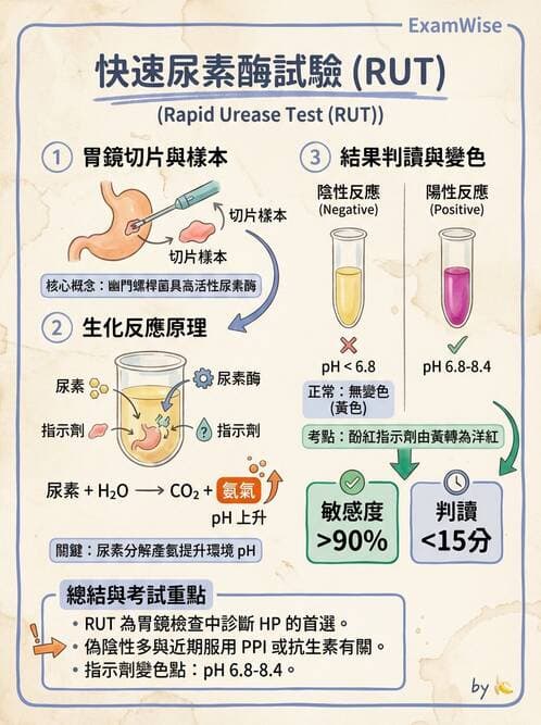 醫檢師 - 特殊病原體 - AI 圖文解析預覽