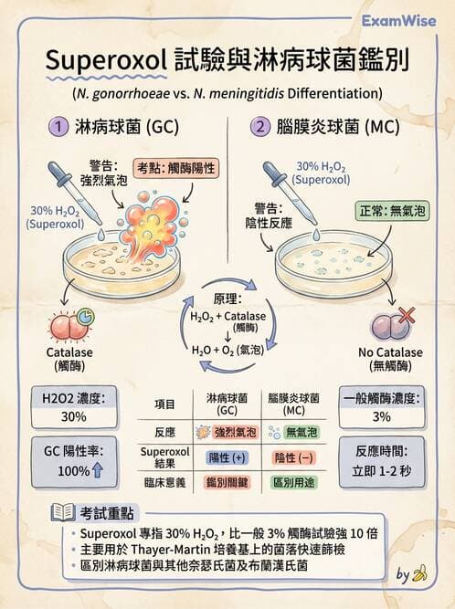醫檢師 - 奈瑟菌與挑剔性革蘭氏陰性菌 - AI 圖文解析預覽