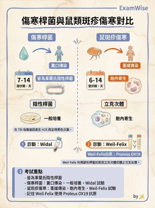 醫檢師 - 綜合性試題 - AI 圖文解析預覽