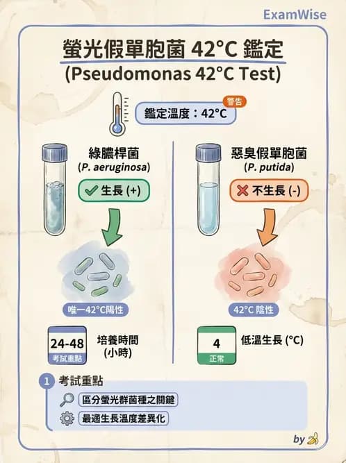 醫檢師 - 非發酵菌 - AI 圖文解析預覽