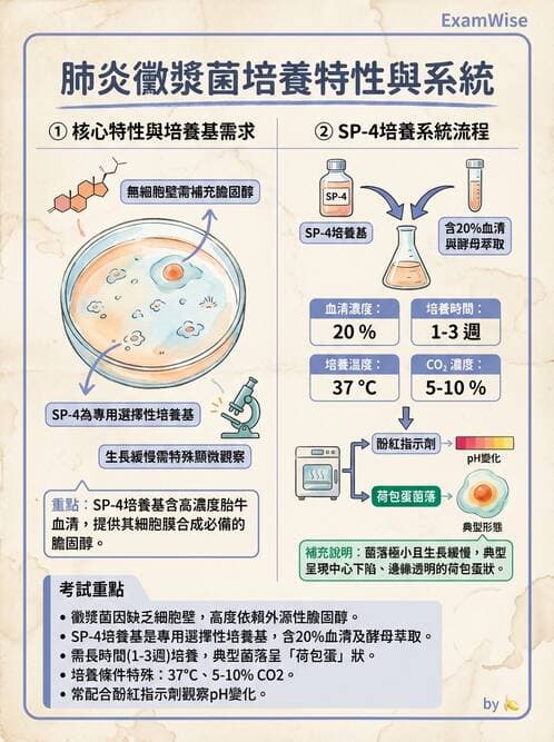 醫檢師 - 特殊病原體 - AI 圖文解析預覽