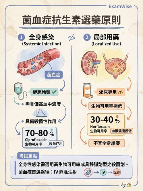 醫檢師 - 抗微生物製劑 - AI 圖文解析預覽