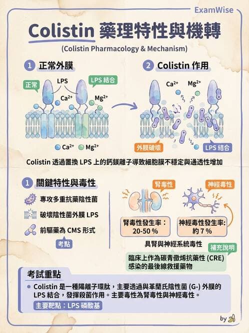 醫檢師 - 抗微生物製劑 - AI 圖文解析預覽