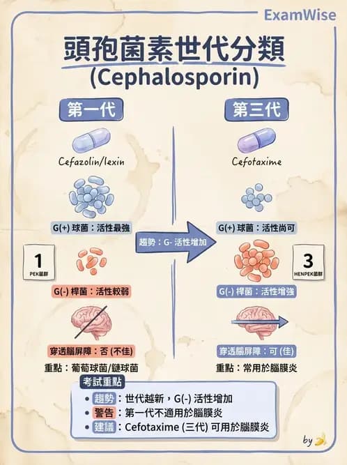 醫檢師 - 抗微生物製劑 - AI 圖文解析預覽