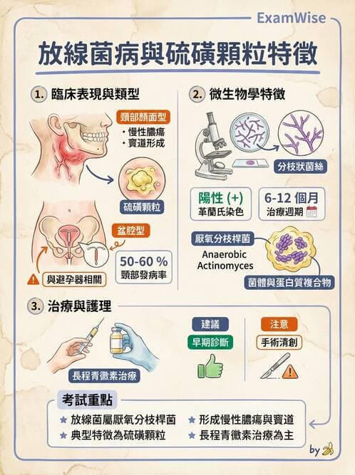 醫檢師 - 厭氧菌 - AI 圖文解析預覽