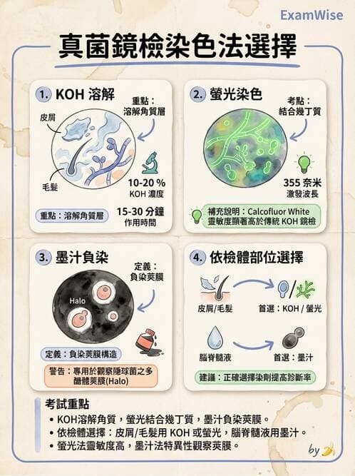 醫檢師 - 真菌診斷與治療 - AI 圖文解析預覽