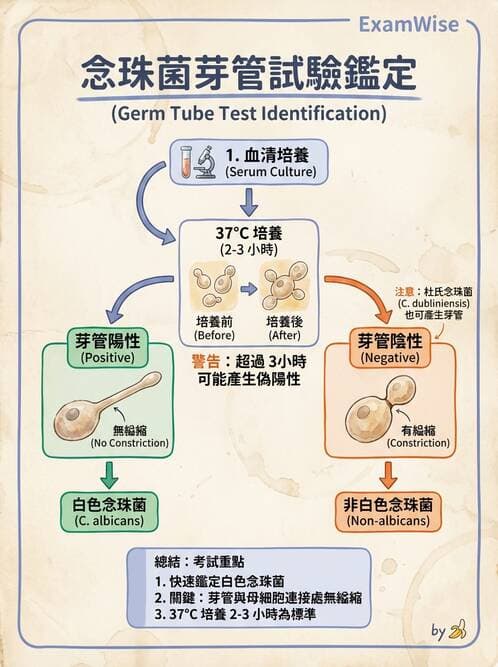 醫檢師 - 系統性與機會性真菌感染 - AI 圖文解析預覽