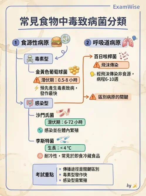 醫檢師 - 感染症與院內感染 - AI 圖文解析預覽