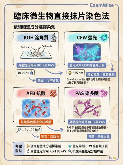 醫檢師 - 檢驗基礎技術 - AI 圖文解析預覽