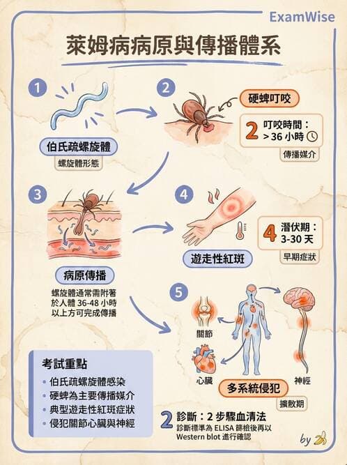 醫檢師 - 特殊病原體 - AI 圖文解析預覽