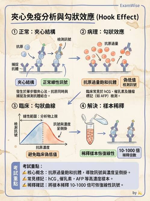 醫檢師 - 基本概念與儀器分析 - AI 圖文解析預覽