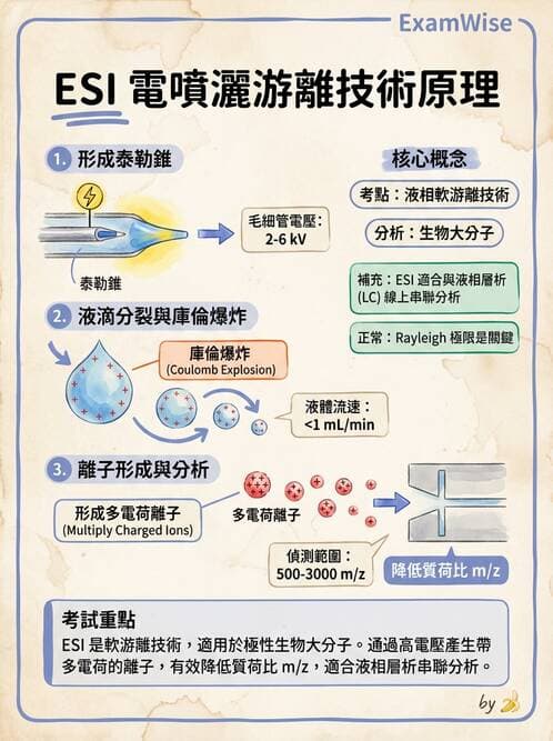 醫檢師 - 基本概念與儀器分析 - AI 圖文解析預覽