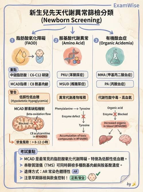 醫檢師 - 脂質代謝與酮體 - AI 圖文解析預覽