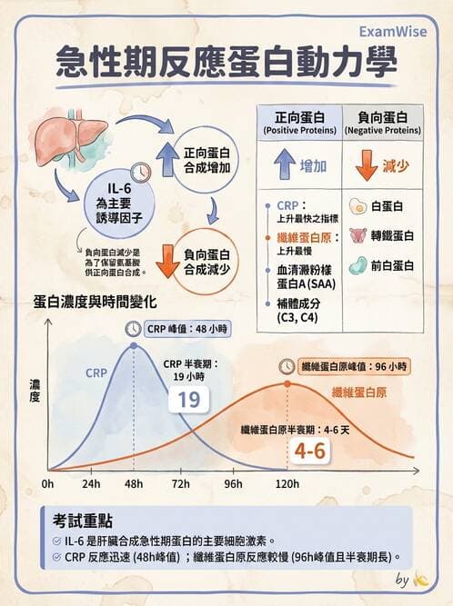 醫檢師 - 血清蛋白與蛋白質檢測 - AI 圖文解析預覽
