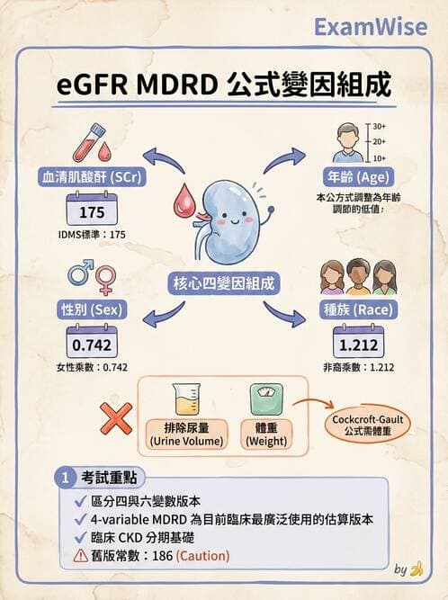 醫檢師 - 腎臟機能與代謝評估 - AI 圖文解析預覽
