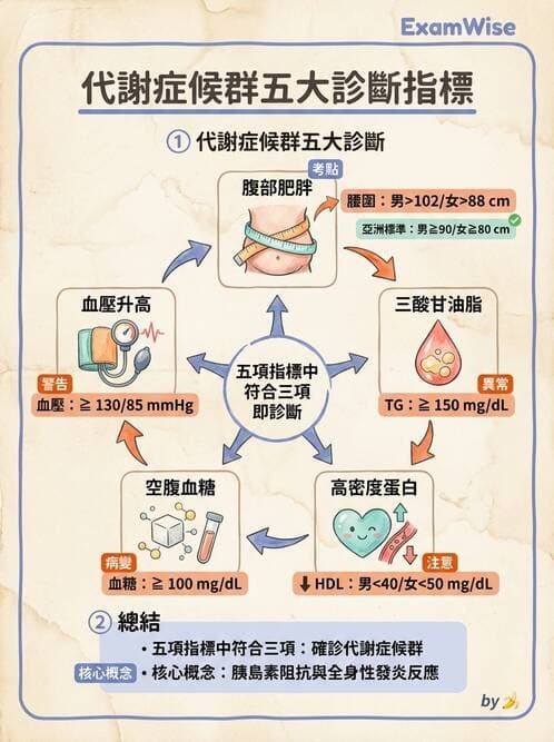 醫檢師 - 脂蛋白分類與臨床應用 - AI 圖文解析預覽