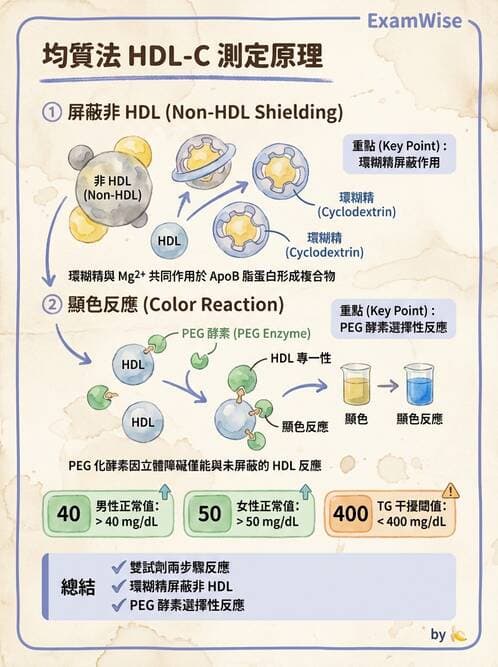 醫檢師 - 脂蛋白分類與臨床應用 - AI 圖文解析預覽