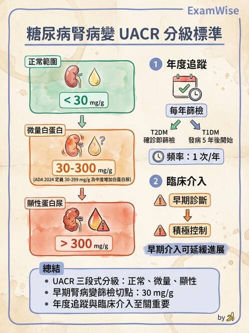 醫檢師 - 腎臟機能與代謝評估 - AI 圖文解析預覽