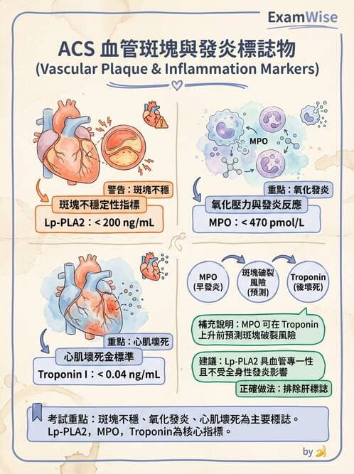醫檢師 - 心肌標誌與心臟診斷 - AI 圖文解析預覽