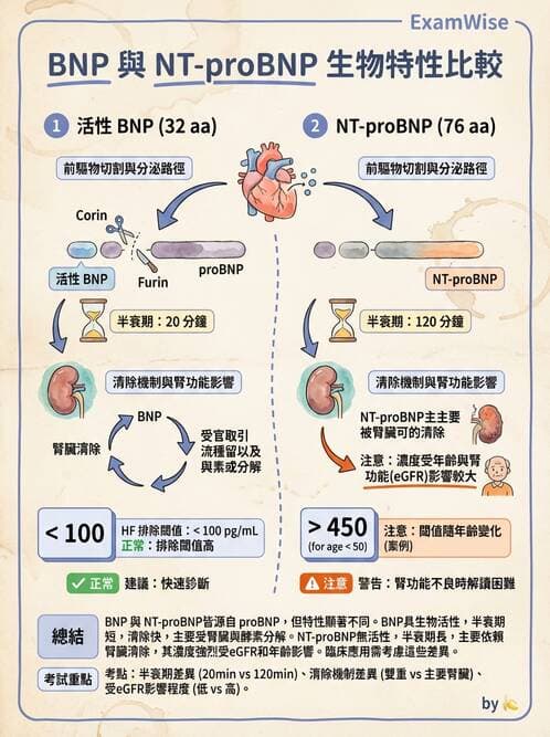 醫檢師 - 心肌標誌與心臟診斷 - AI 圖文解析預覽